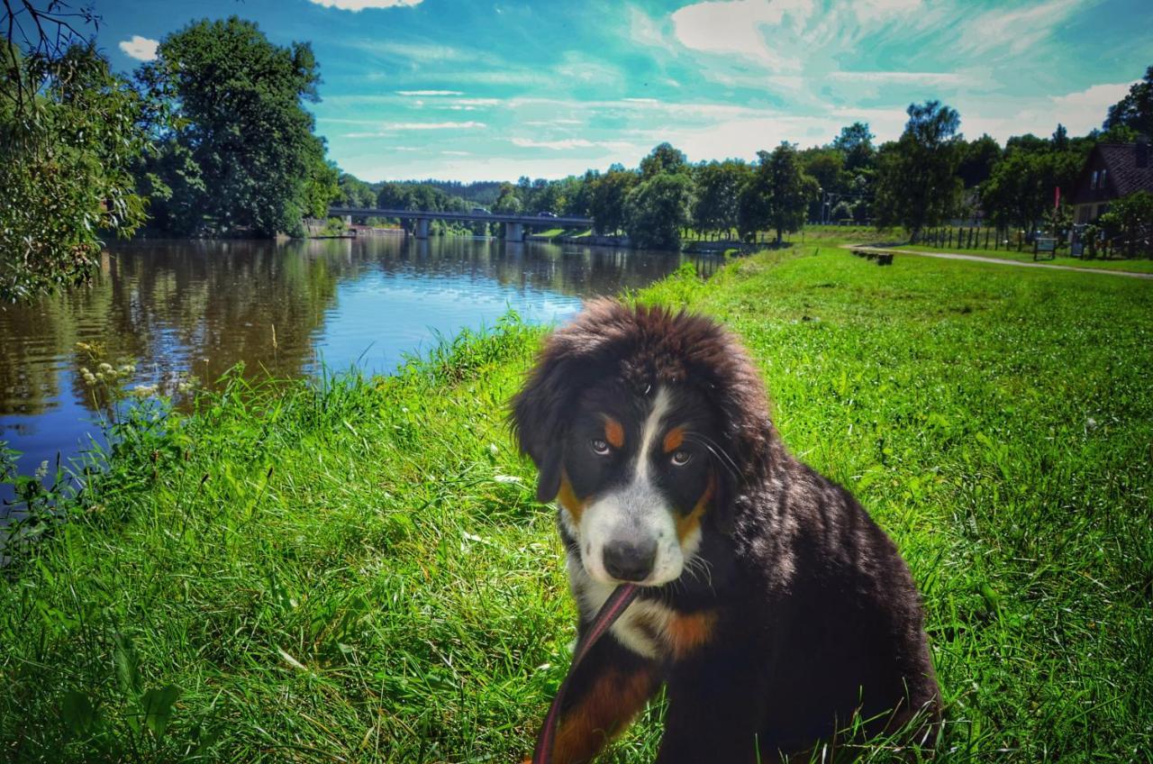Camping Prima Týn nad Vltavou Kültér fotó